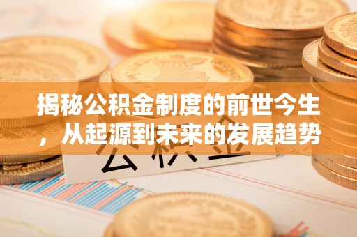 盐埔揭秘公积金制度的前世今生，从起源到未来的发展趋势