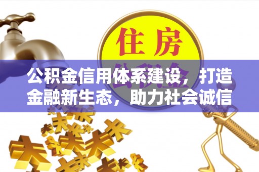 盐埔公积金信用体系建设，打造金融新生态，助力社会诚信发展