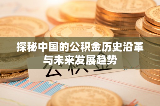 盐埔探秘中国的公积金历史沿革与未来发展趋势