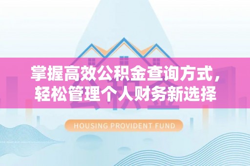 盐埔掌握高效公积金查询方式，轻松管理个人财务新选择