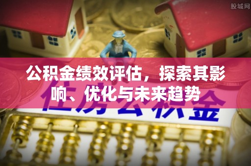 盐埔公积金绩效评估，探索其影响、优化与未来趋势