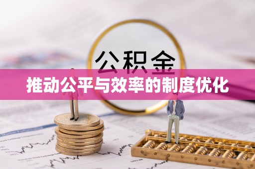 盐埔推动公平与效率的制度优化