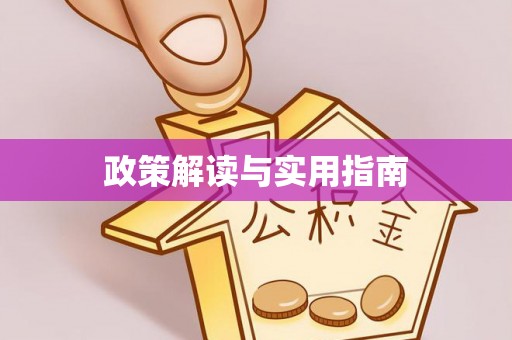 盐埔政策解读与实用指南