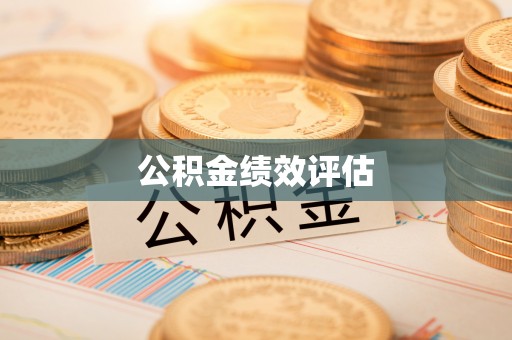 盐埔公积金绩效评估