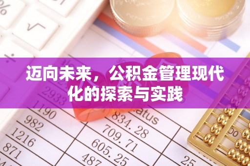 盐埔迈向未来，公积金管理现代化的探索与实践