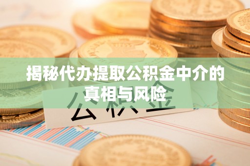 盐埔揭秘代办提取公积金中介的真相与风险