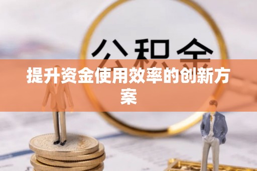 盐埔提升资金使用效率的创新方案