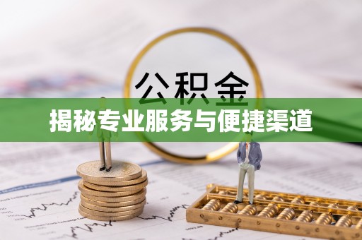 盐埔揭秘专业服务与便捷渠道