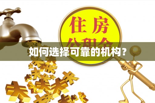 盐埔如何选择可靠的机构？