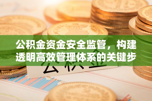 盐埔公积金资金安全监管，构建透明高效管理体系的关键步骤
