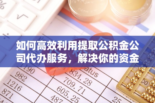 盐埔如何高效利用提取公积金公司代办服务，解决你的资金难题