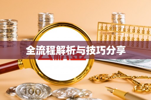 盐埔全流程解析与技巧分享